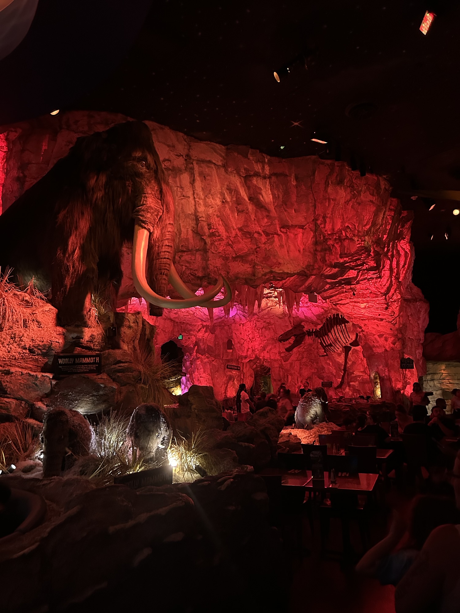 T-REX Disney Springs Review: What We’d Order Again
