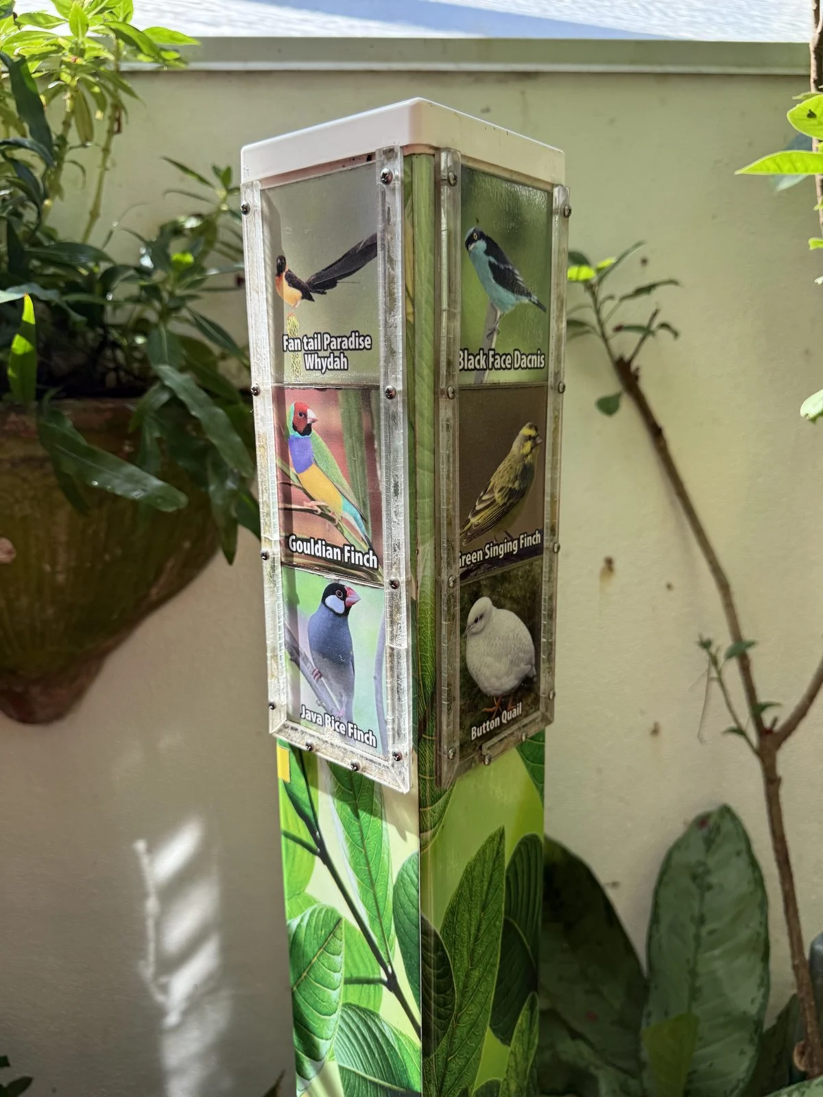 Bird identification display showing finches, a whydah, a dacnis, and a button quail inside the conservatory.