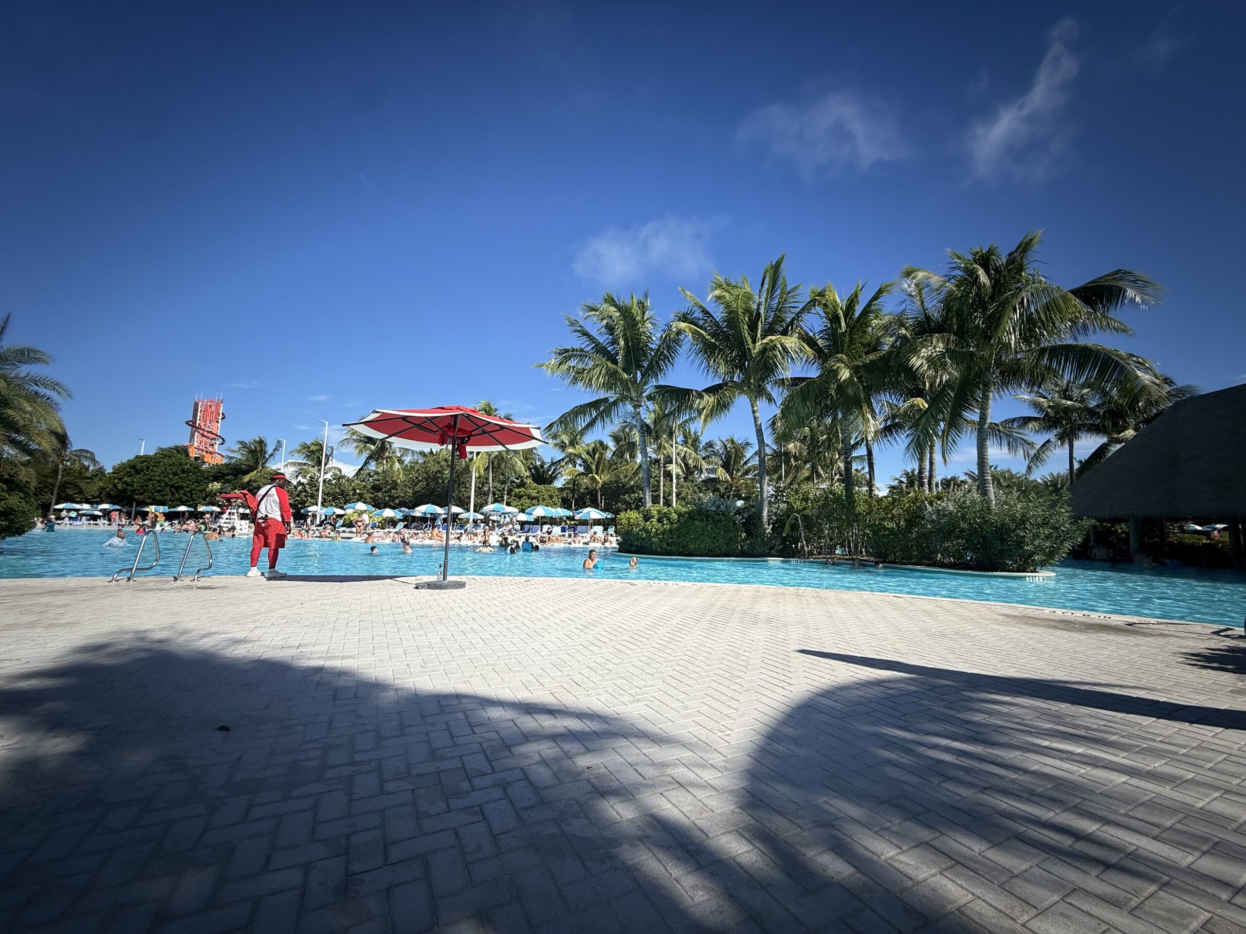 Large resort pool at Perfect Day at CocoCay with palm trees, swimmers, and a lifeguard