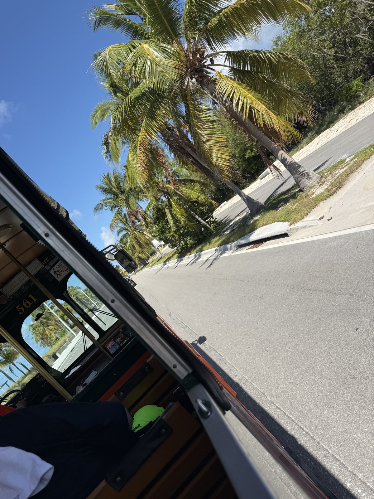 Palm-lined street seen through the open side of our Key West trolley.